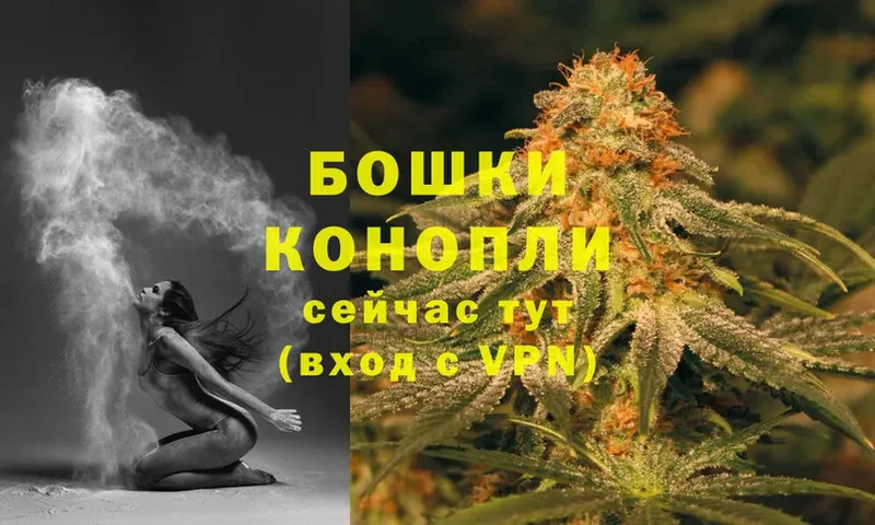 Каннабис SATIVA & INDICA  Ессентуки 